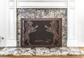 Twin Lions Fireplace Screen - Front